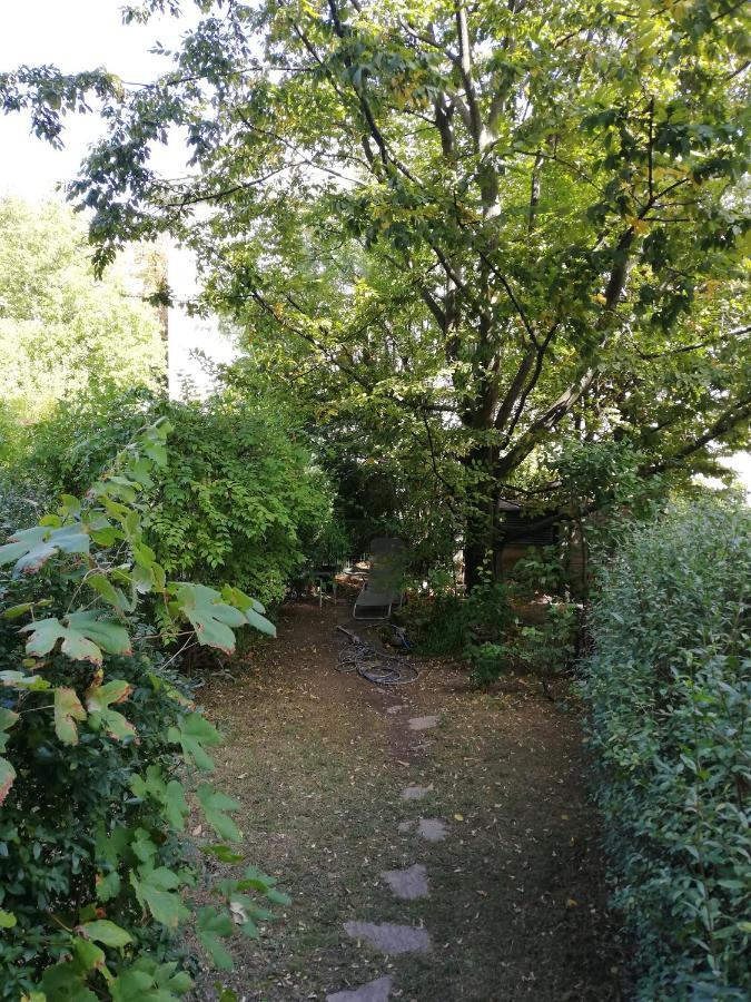 Room In Maisonette With Garden, Parking Place Vienna Esterno foto